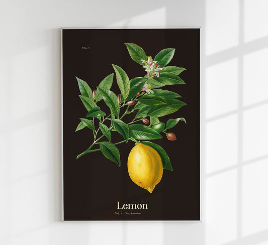 Lemon Botanical Poster