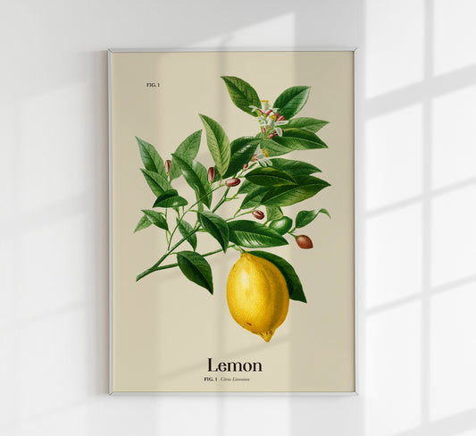 Lemon Botanical Light Poster