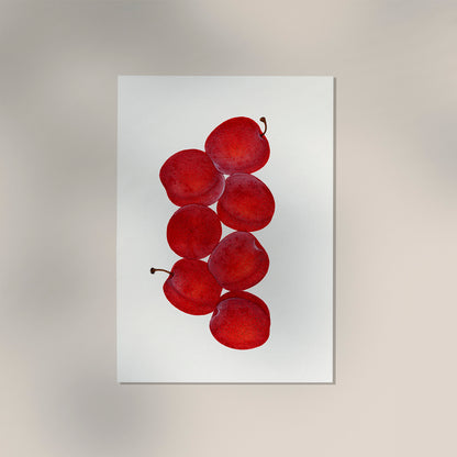 Cherries Botanical Poster