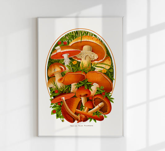 True and False Mushroom Botanical Poster