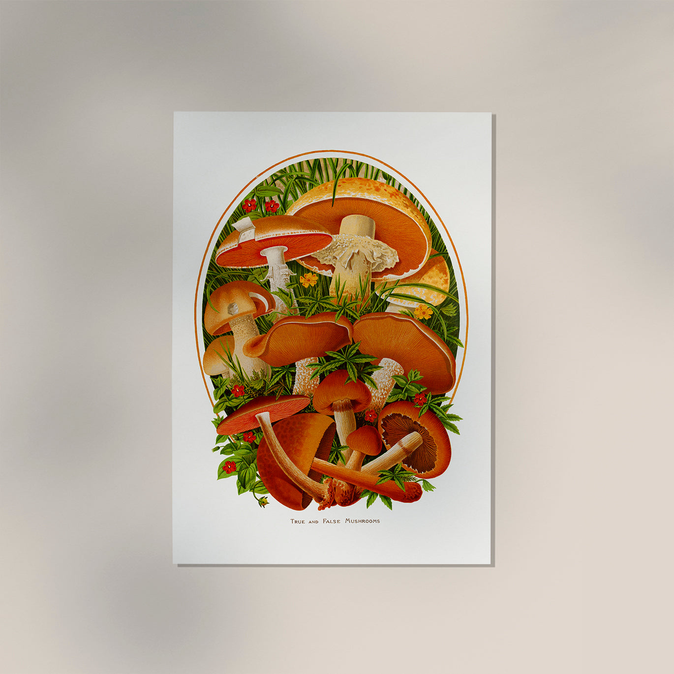 True and False Mushroom Botanical Poster