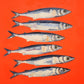 Anchovies in Red Art Print