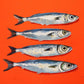 Sardines in Red Art Print