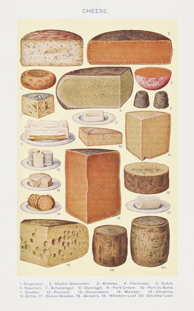 Cheese Chart Vintage Poster