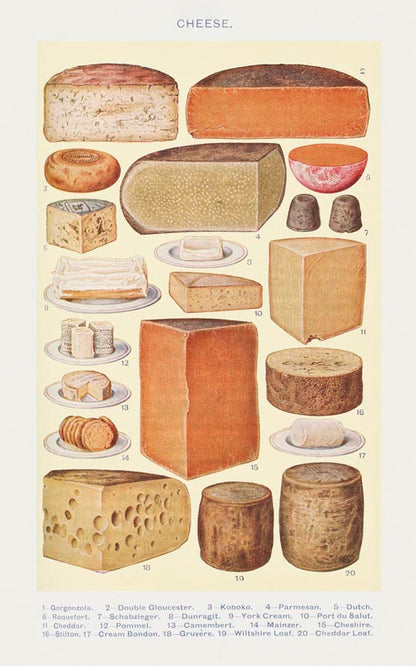 Cheese Chart Vintage Poster