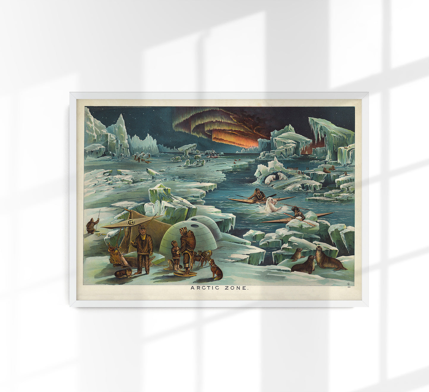 Arctic Zone Poster - Vintage Science Illustration