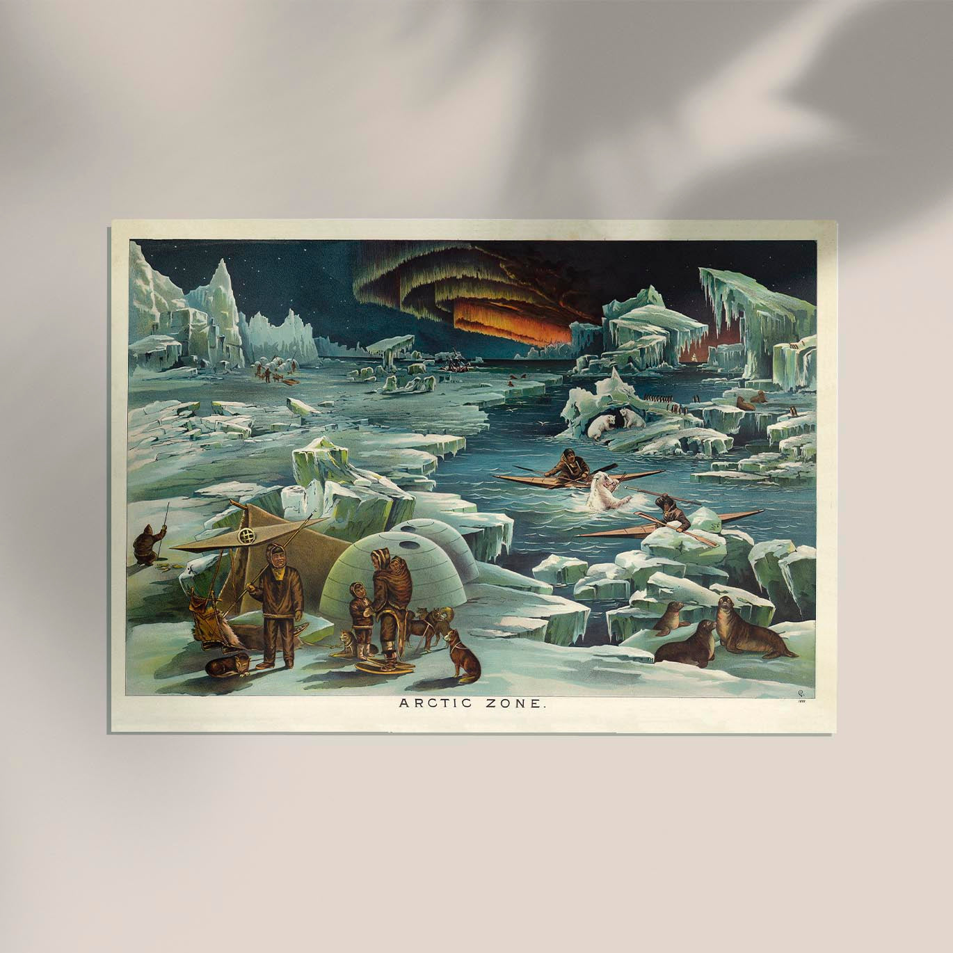 Arctic Zone Poster - Vintage Science Illustration