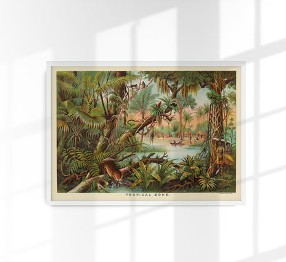 Tropical Zone Educational Vintage Poster