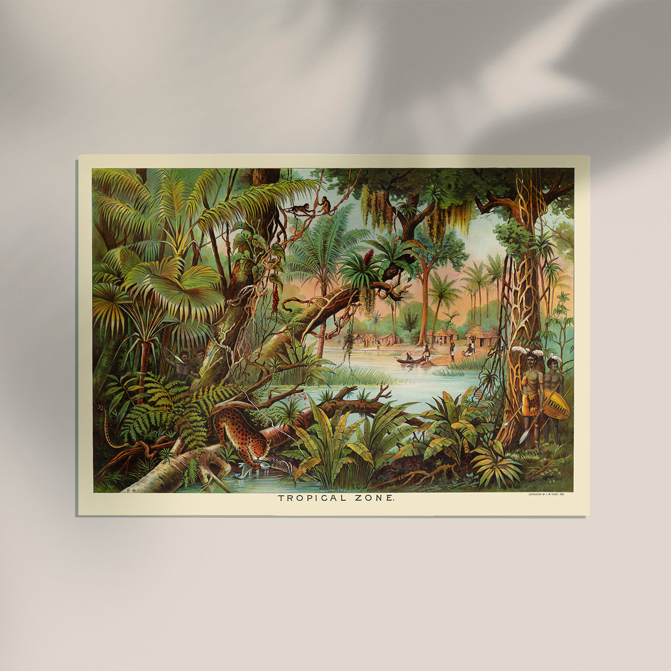 Tropical Zone Educational Vintage Poster
