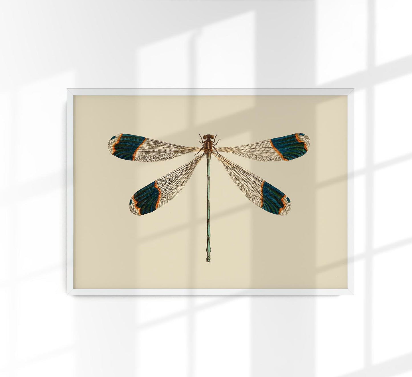 Dragonfly Poster