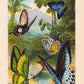 Tropical Butterfly II Poster