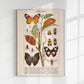 Insects with Camouflage I Poster