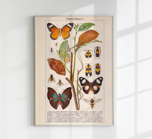 Insects with Camouflage I Poster