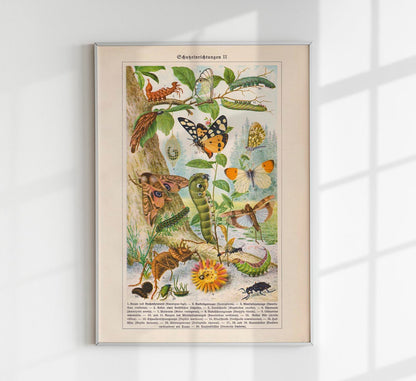 Insects with Camouflage II Poster