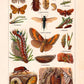 Plant Pests III Poster