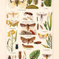 Plant Pests II Poster