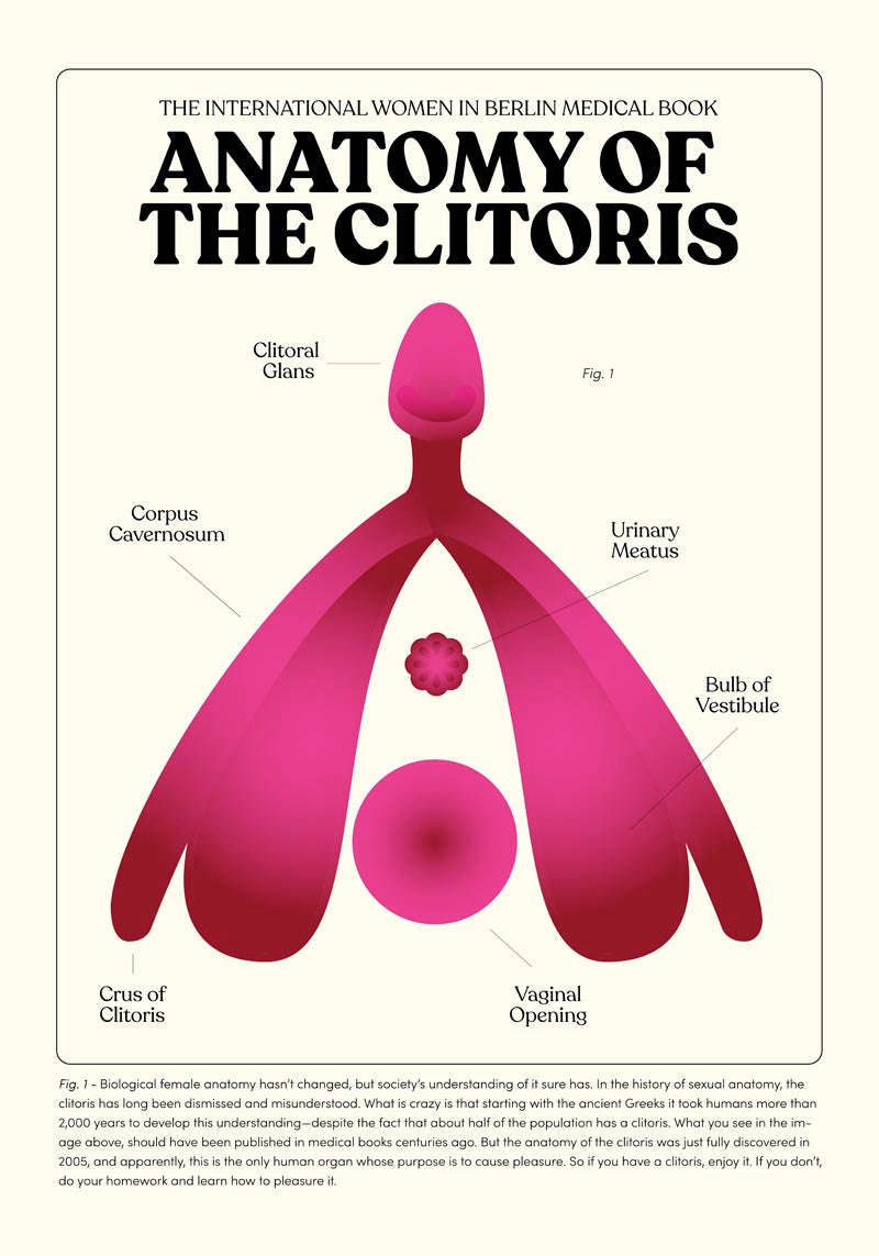 Anatomy of Clitoris