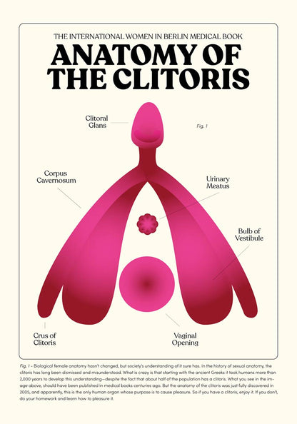 Anatomy of Clitoris