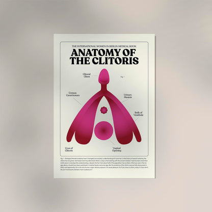 Anatomy of Clitoris