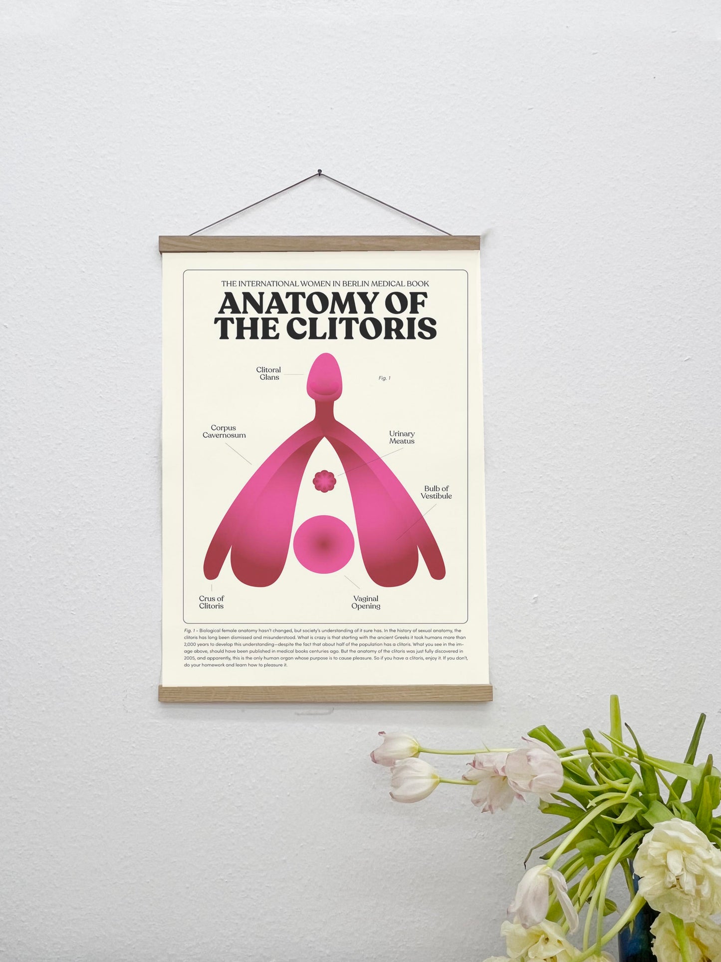 Sale: Anatomy of Clitoris A2 Size Canvas Print