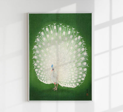 Green Peacock by Koson