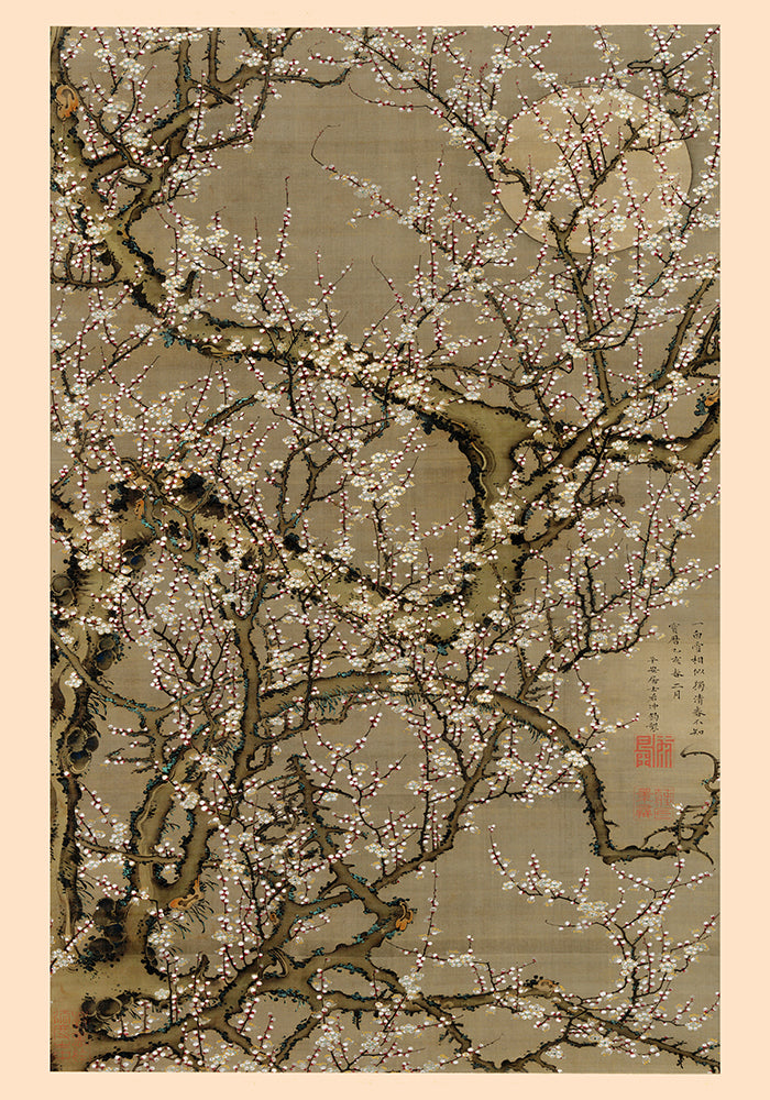 White Plum Blossoms and the Moon by Ito Jakuchu Japanese Poster