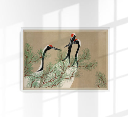 Cranes from Momoyogusa-Flowers by Sekka Poster