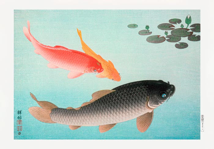 Common and Golden Carp by Koson Poster