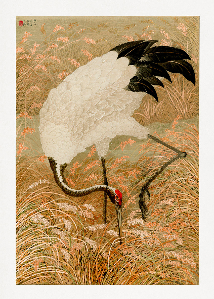 Sarus crane in rice field Japanese Art Print