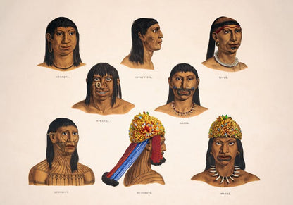 Chart Indigenous Poster