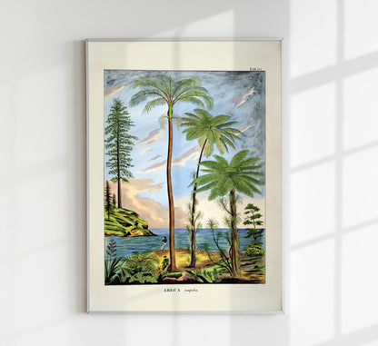 Areca Sapida Beach Scene Vintage Poster