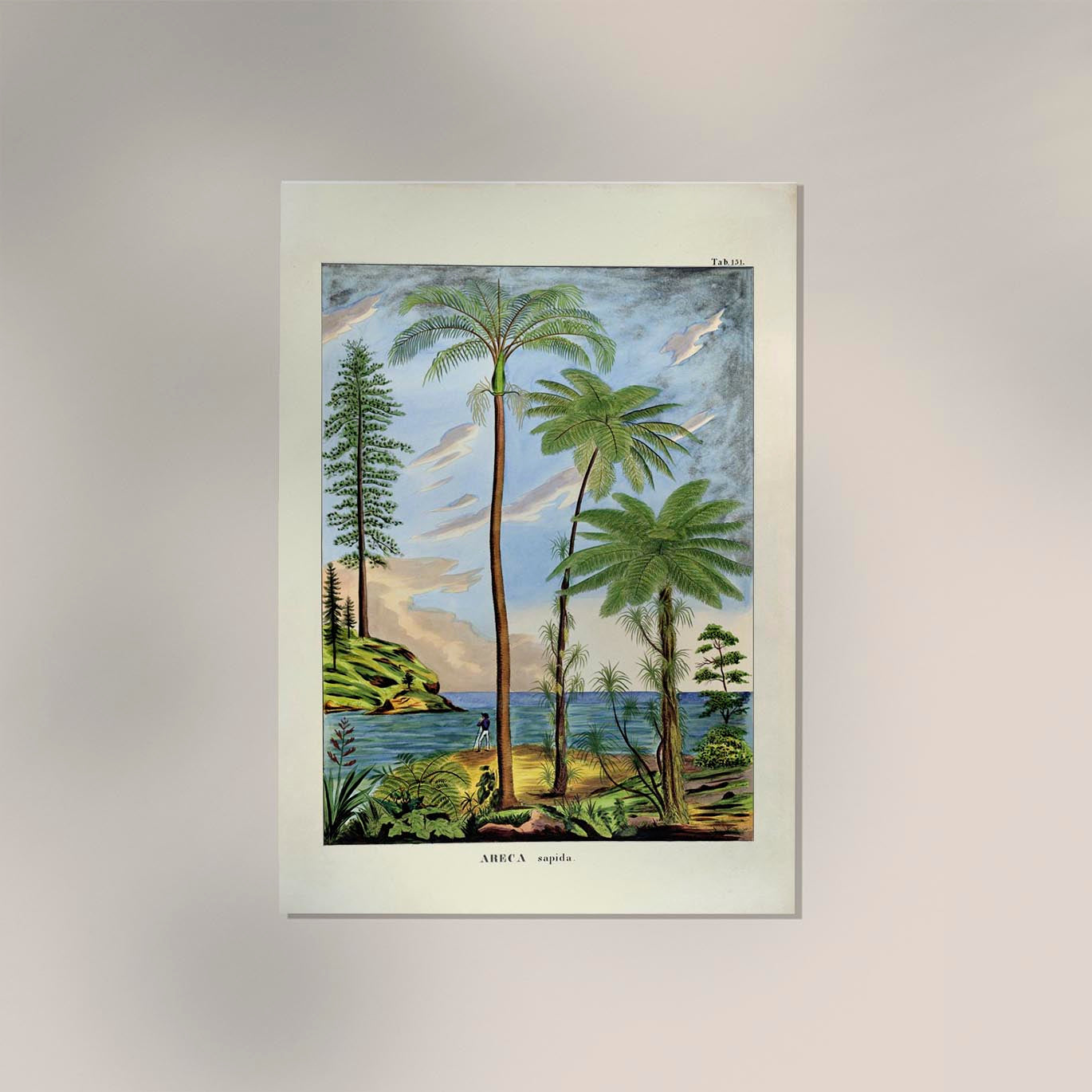 Areca Sapida Beach Scene Vintage Poster