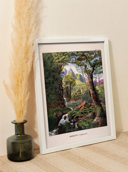 Sale: Morenia Poppigian Jungle Scene A3 Size Fine Art Print