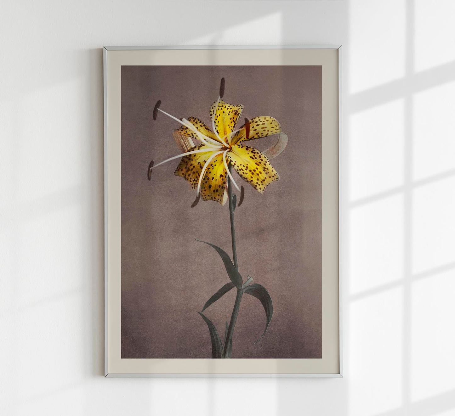 Yellow Lily by Ogawa Kazumasa