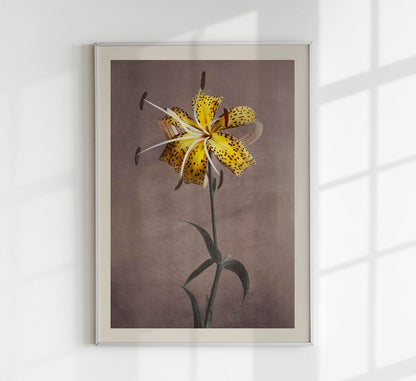 Yellow Lily by Ogawa Kazumasa