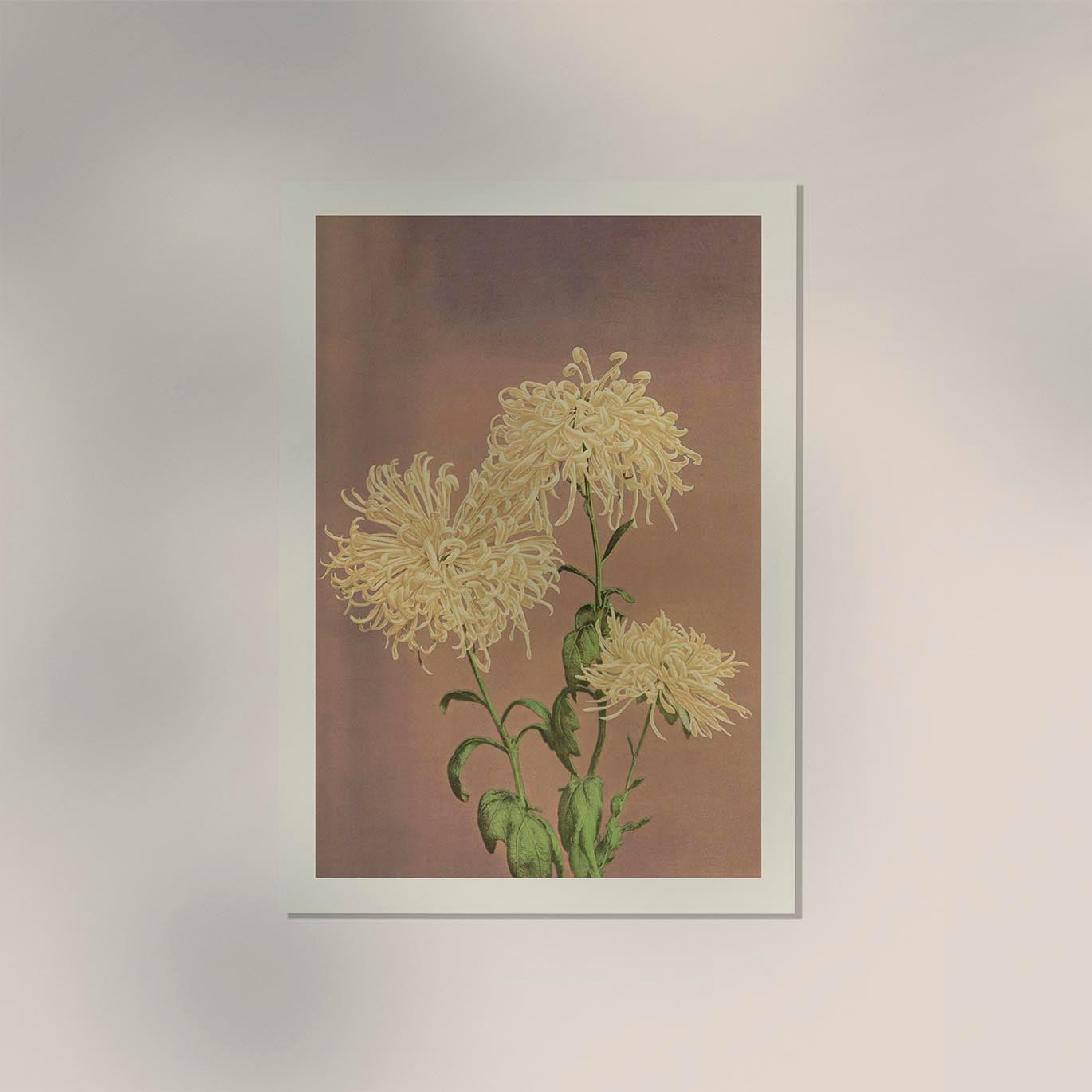 Three Yellow Chrysanthemum by Ogawa Kazumasa