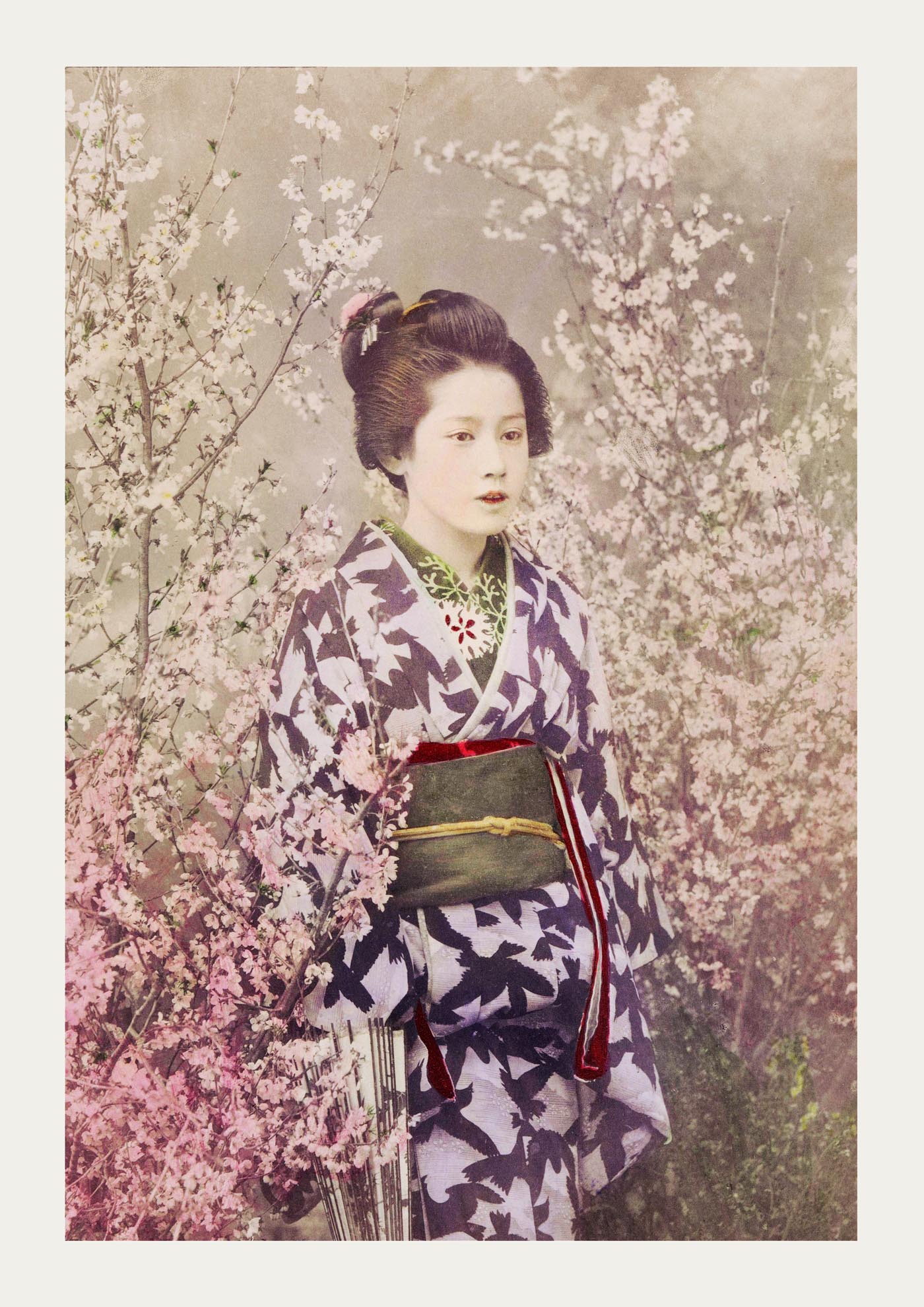 Geisha and Cherry Blossom by Ogawa Kazumasa