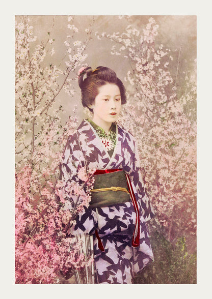 Geisha and Cherry Blossom by Ogawa Kazumasa