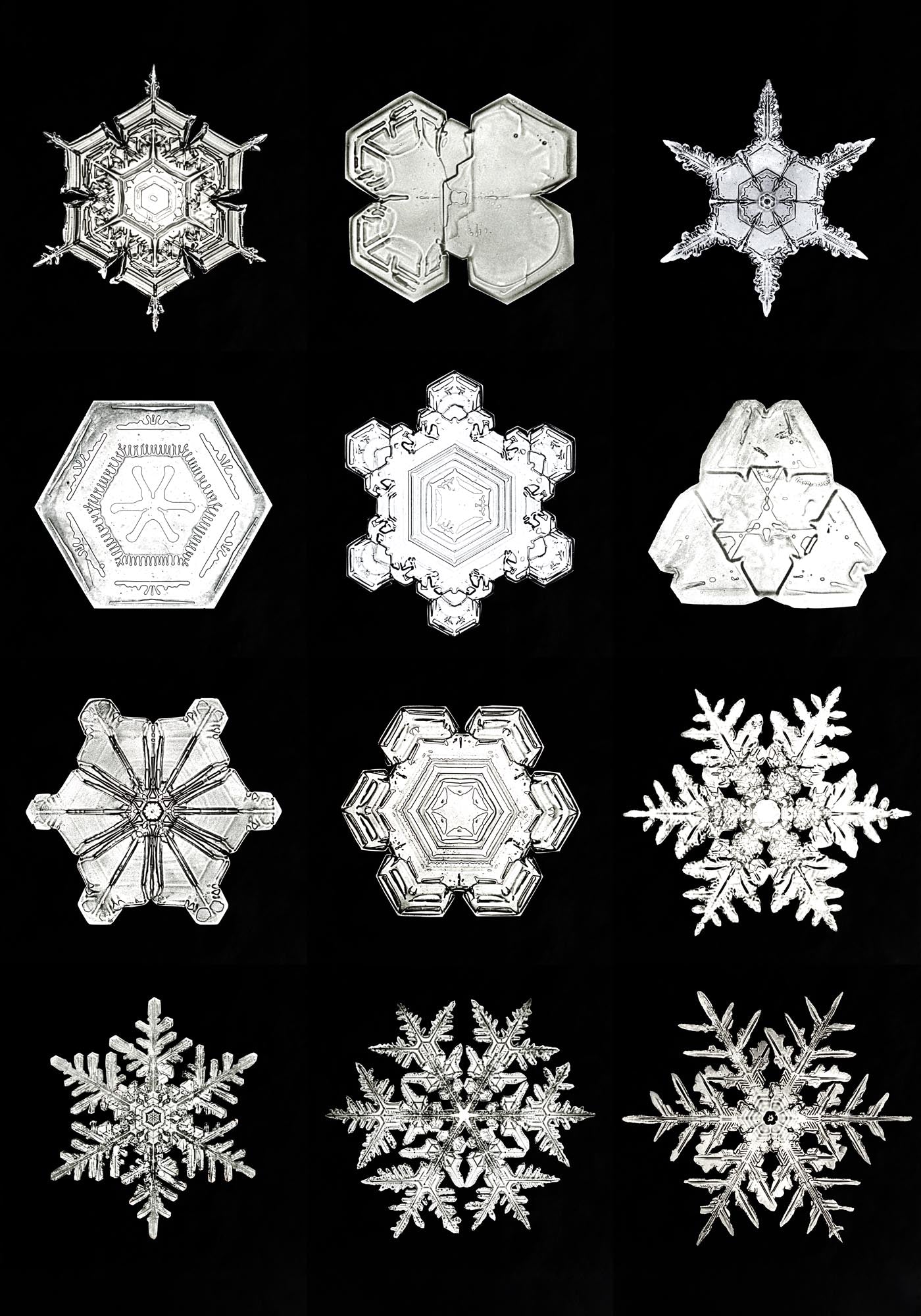 Snowflakes by Wilson Bentley