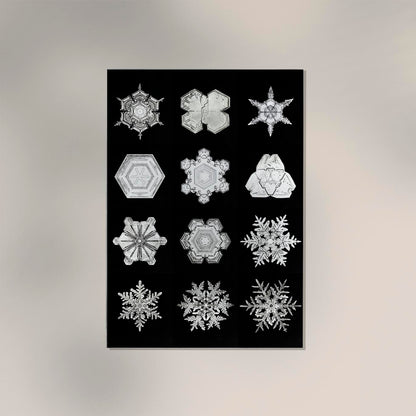 Snowflakes by Wilson Bentley