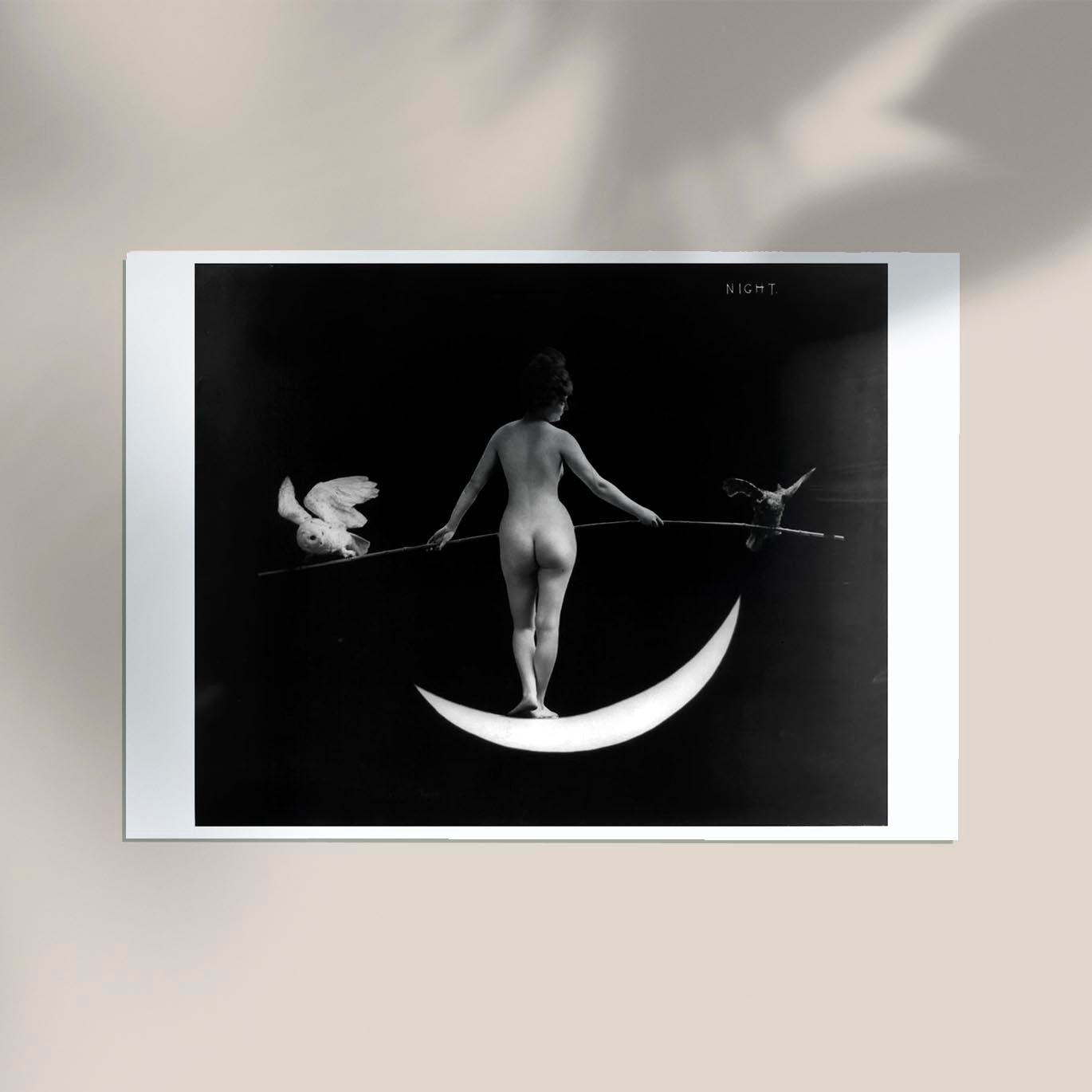 Nude photography of naked woman - Night (1895) by F.B. Johnson & Company