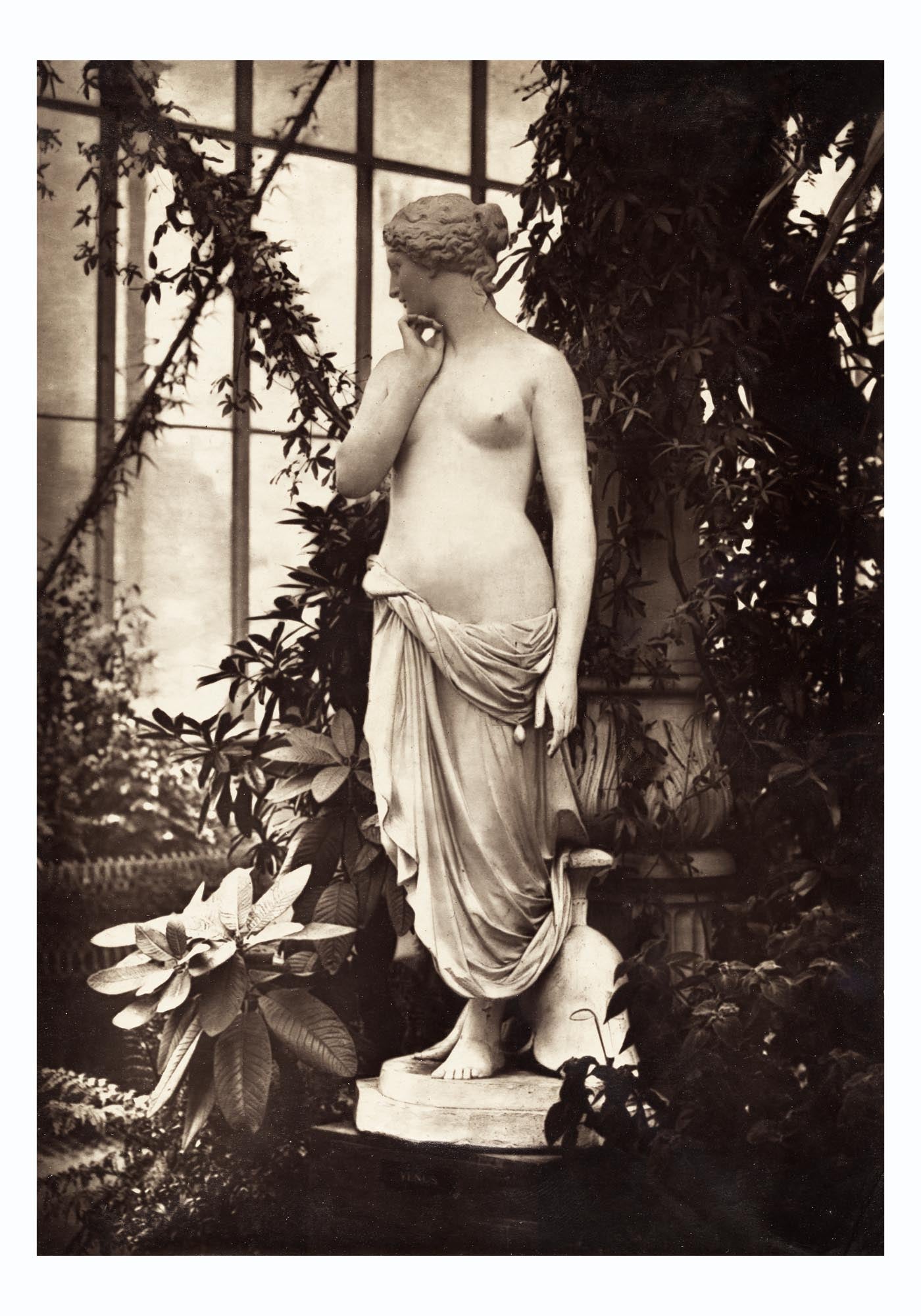 Ancient Geek nude, Sculpture of Venus surrounded by plants