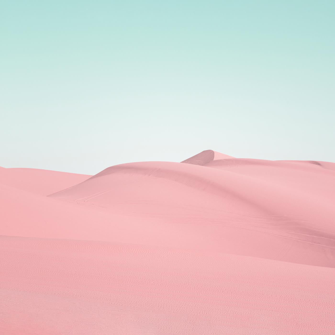 Sand dunes in Southern California Pink by Carol M. Highsmith