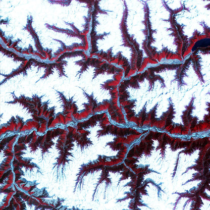 Snow-capped peaks and ridges of the eastern Himalaya Mountains by NASA