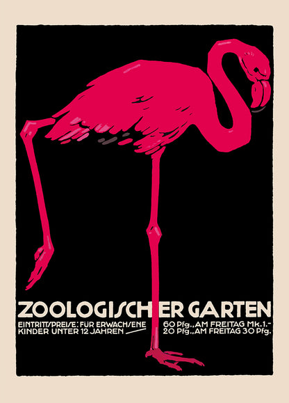 Zoologischer Garten Flamingo Poster