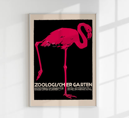 Zoologischer Garten Flamingo Poster