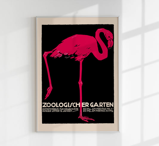 Zoologischer Garten Flamingo Poster