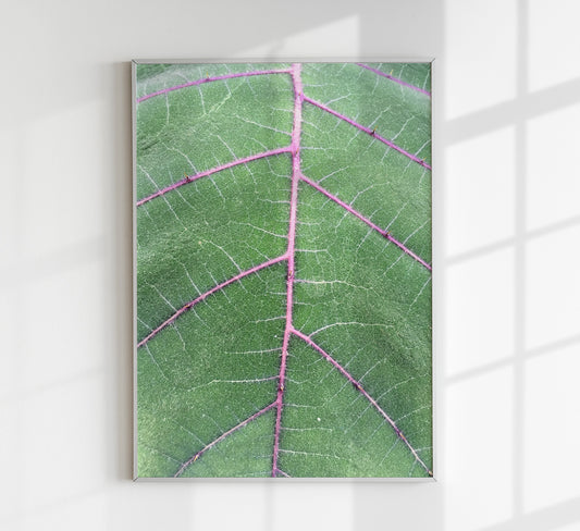 Natural Veins at Botanische Garten Photo Print