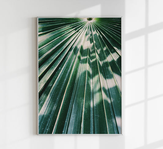 Shades of Sunlight at Botanische Garten Photo Print