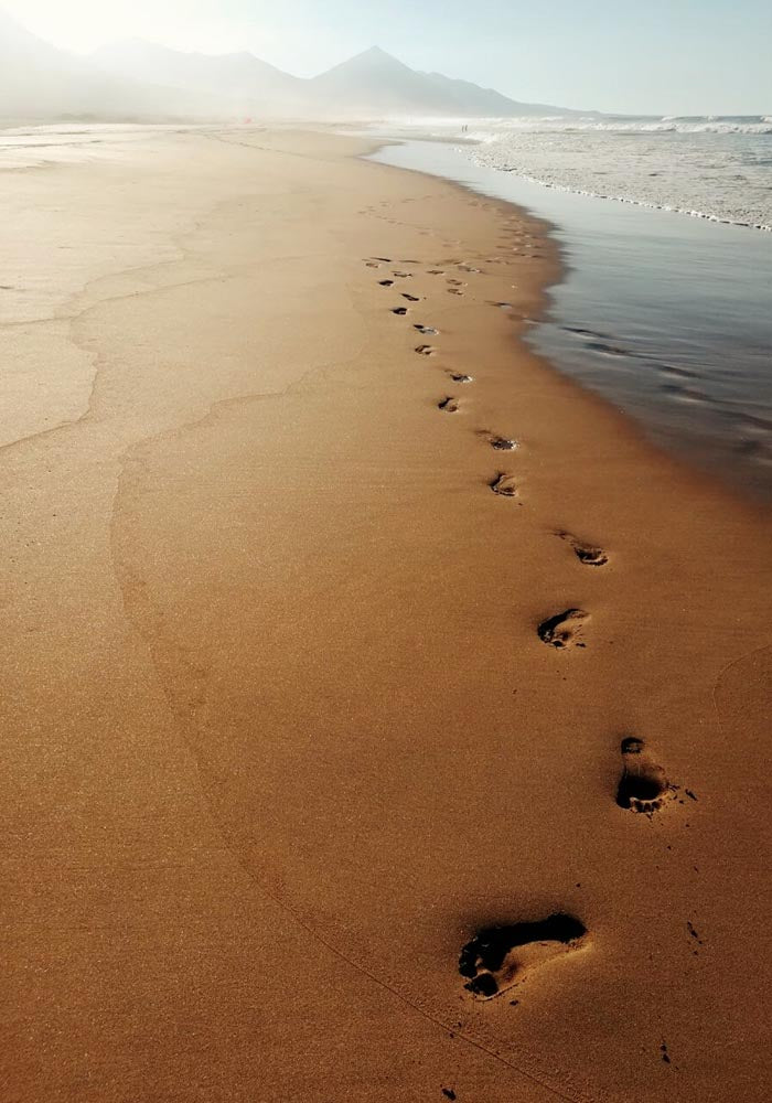 The Beach Path Photo Print